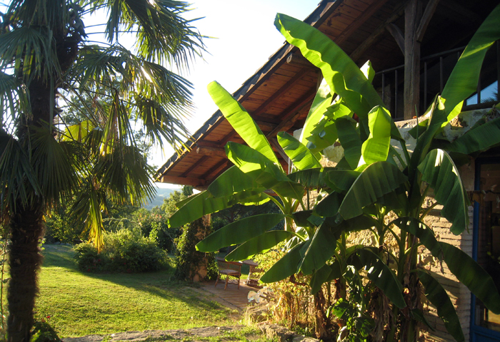 luxuriant banana tree in Tarn, guest bedroom Batisse Belhomme