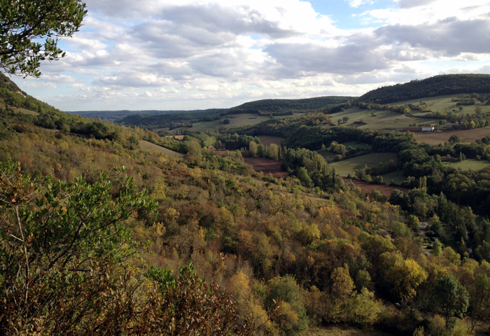 grande balade dans la forêt de Grésigne, guide accompagnateur