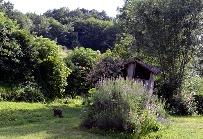 jardin pour se reposer, chambres d'hôtes à Puycelsi dans le Tarn