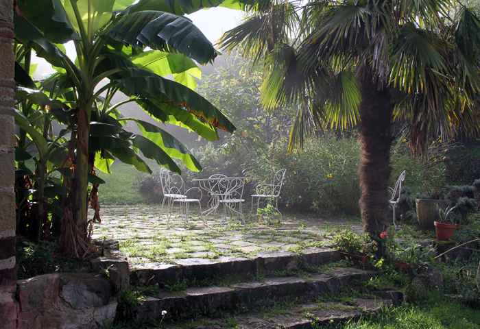 jardin luxuriant qui donne le sentiment d'être au bout du monde, Tarn, Puycelsi