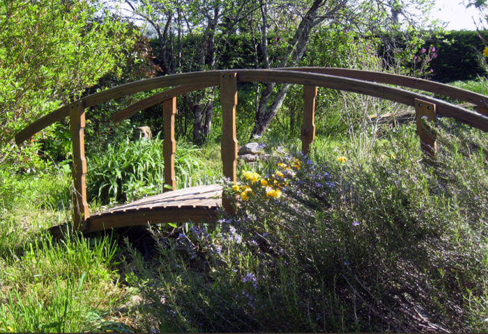 jardin avec petit pont de bois, chambres d'hôtes à Puycelsi dans le Tarn
