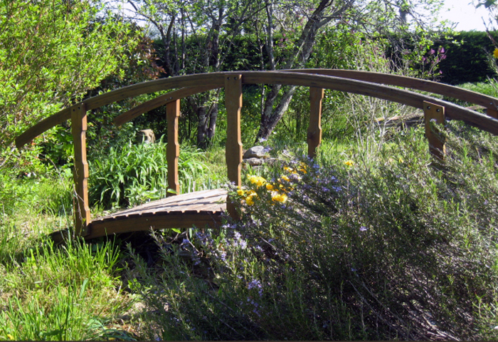 jardin avec petit pont de bois, chambres d'hôtes à Puycelsi dans le Tarn